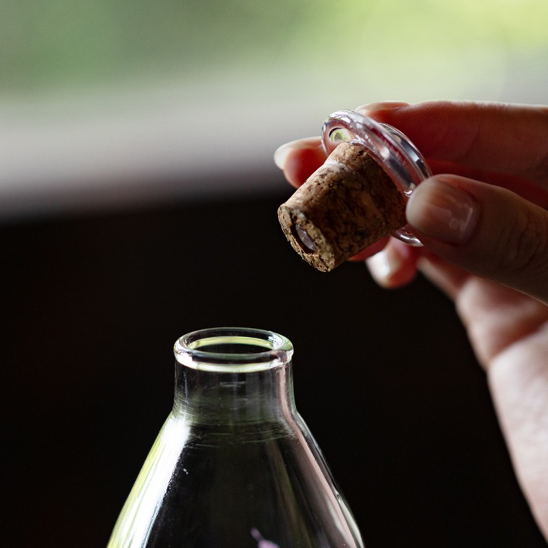 Botella de Vidrio de Borosilic - Cold Brew Bottle reseña y precio
