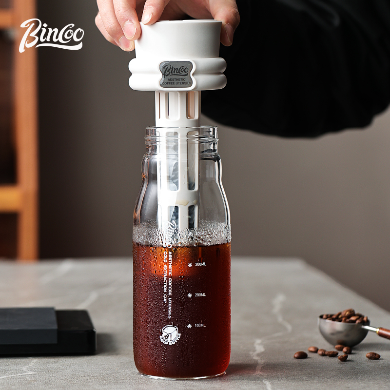 Bincoo 600ML cafetera de prepa - Cold Brew Bottle reseña y precio