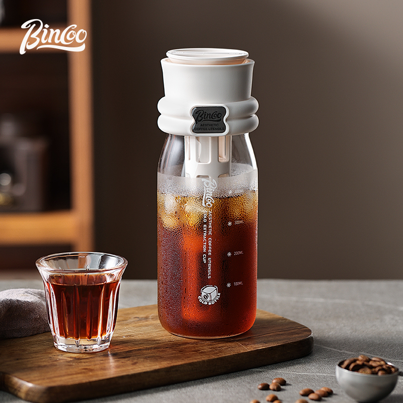 Bincoo 600ML cafetera de prepa - Cold Brew Bottle reseña y precio